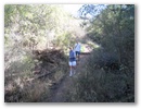 img_3413_1.jpg